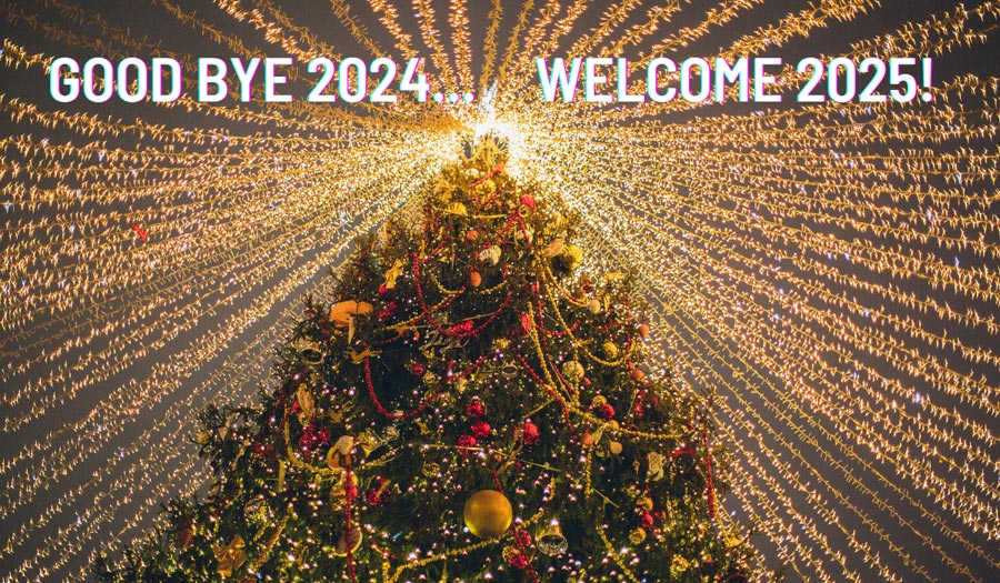 Happy New Year 2025!