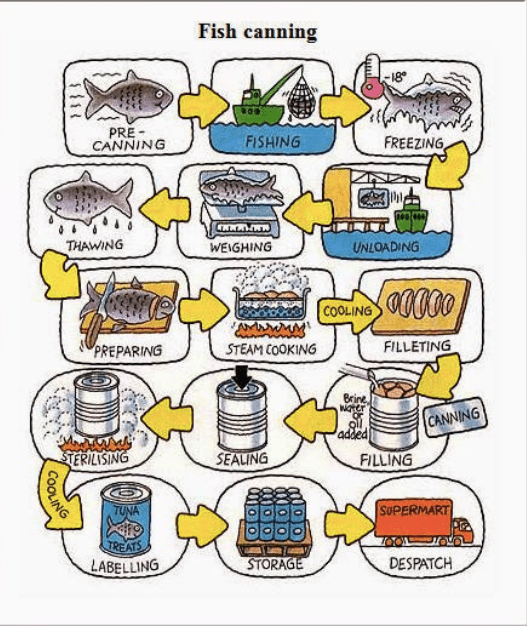 The chart below shows how fish canning is done. – IELTS Training Tips ...